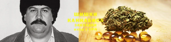 МДПВ Богородицк